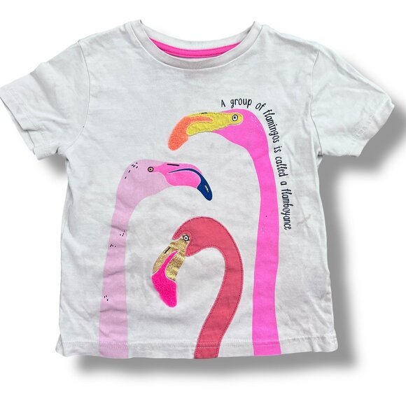 Mini Boden Pink Flamingo Appliqué Flamboyance Facts Short Sleeve Shirt Size 4-5Y - Picture 1 of 5